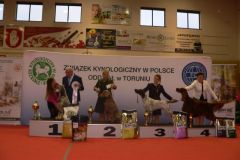 Ordonka1