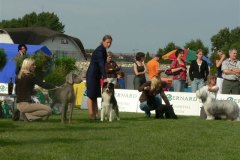 polka7bg