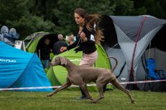 MG_0536-gut