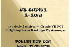 dyplom-Supry