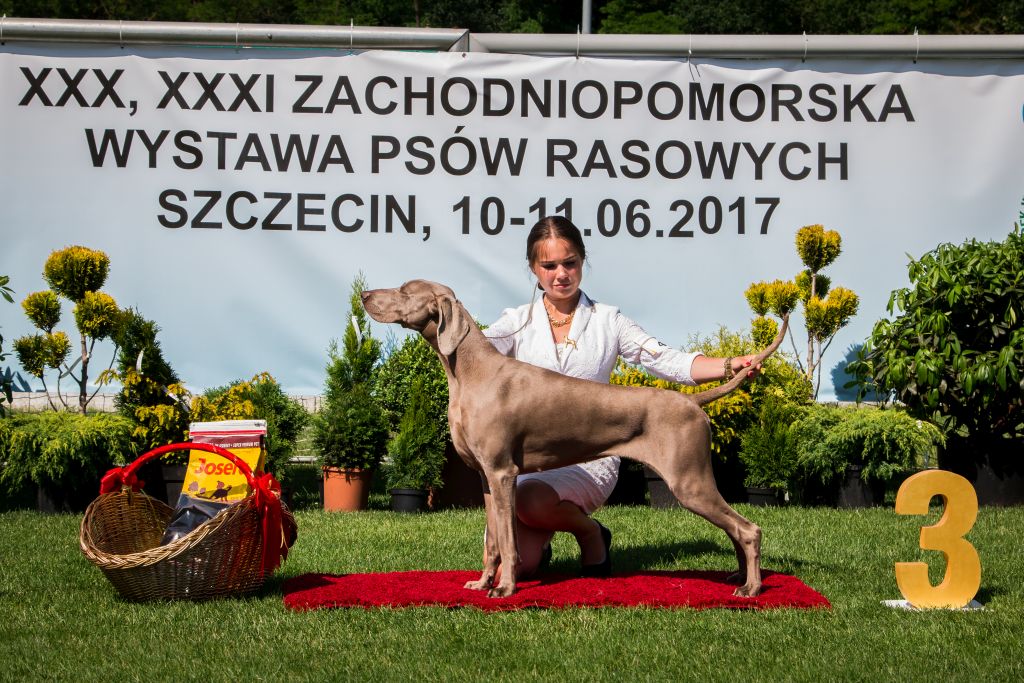 11.06.2017 – National Dog Show – Szczecin