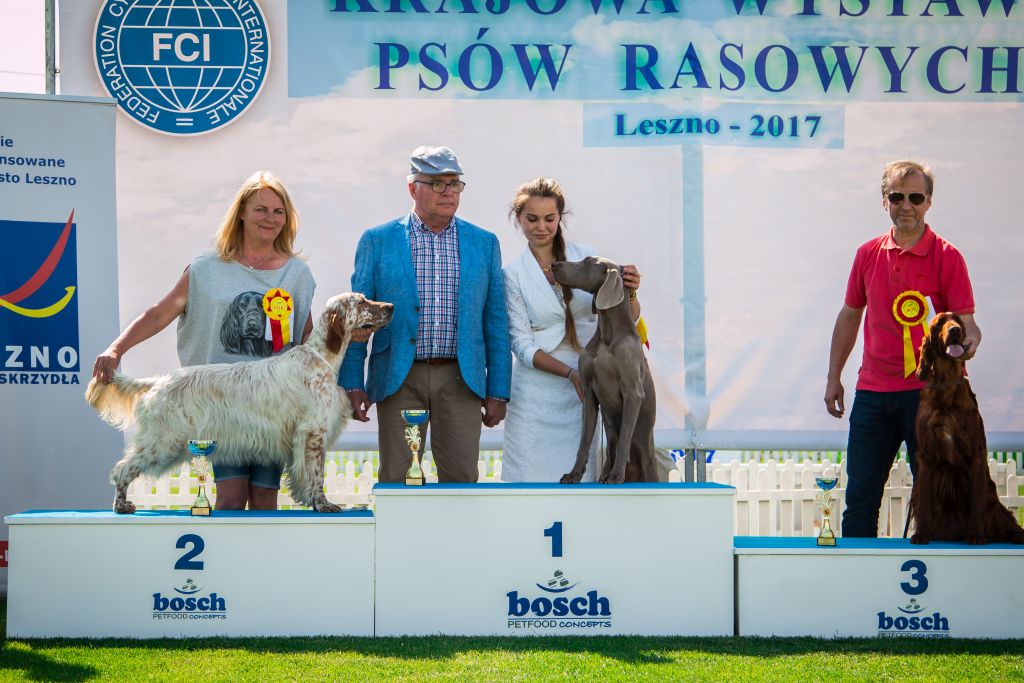 03.06.2017 – National Dog Show – Leszno