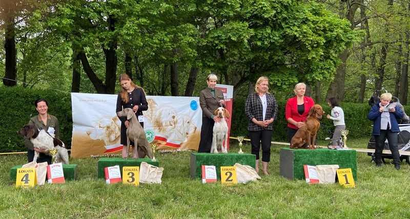 21.05.2022 – National Dog Show CAC – Słupsk
