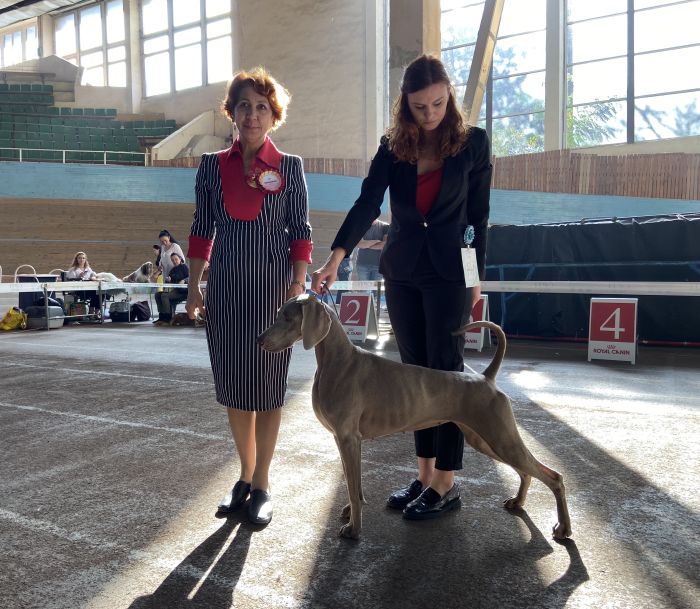 20.10.2019 – International Dog Show CACIB – IDS Lviv (UKR)
