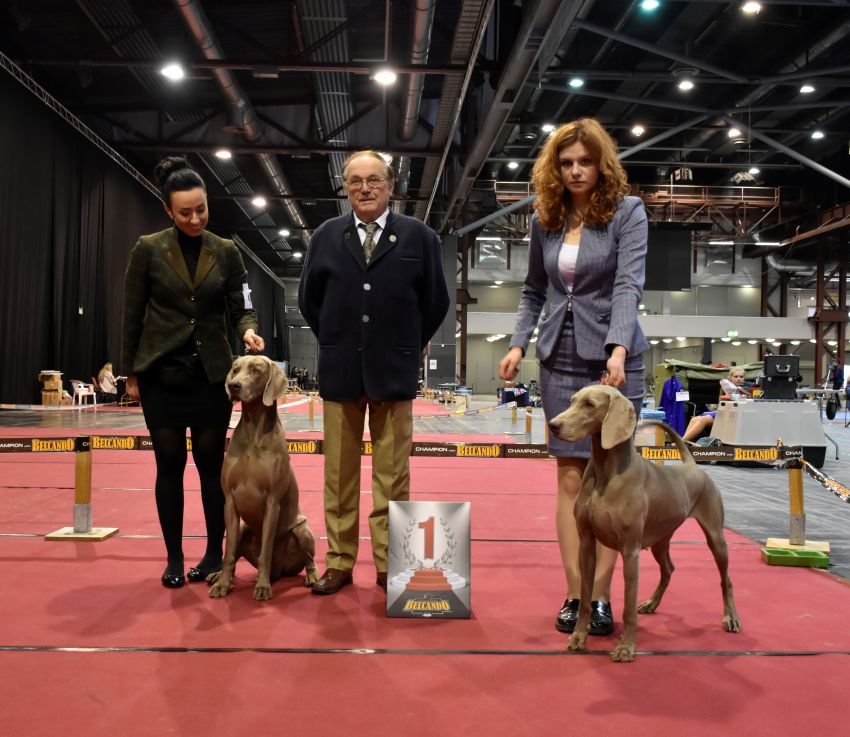 13/04/2019 – International Dog Show CACIB – Chemnitz (D)