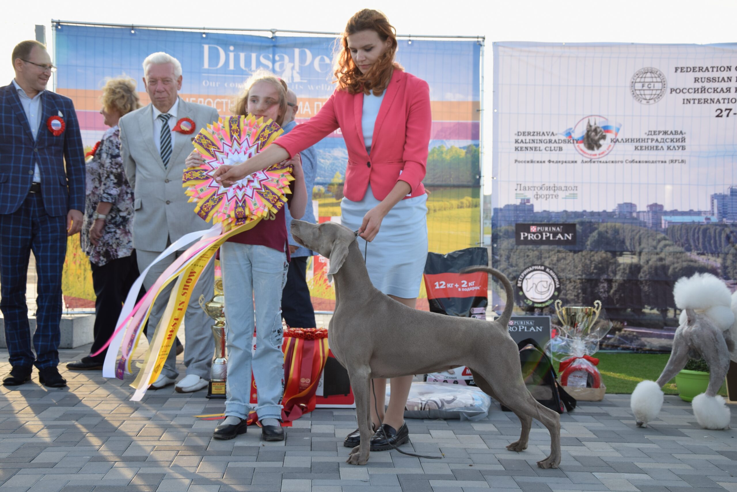 27.07.2019 – International Dog Show CACIB – Kaliningrad (RUS)