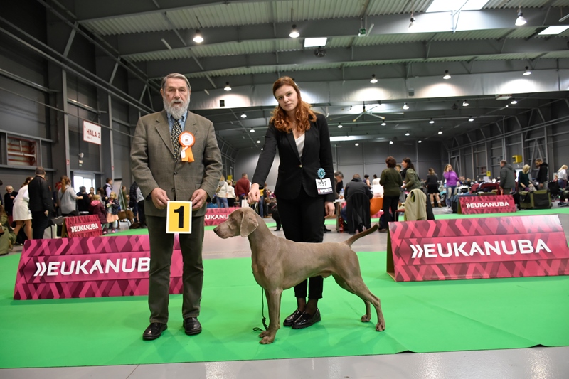 01.12.2019 – International Dog Show CACIB – Prague (CZ)