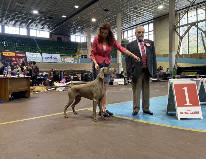19.10.2019 – International Dog Show CACIB – IDS Lviv (UKR)