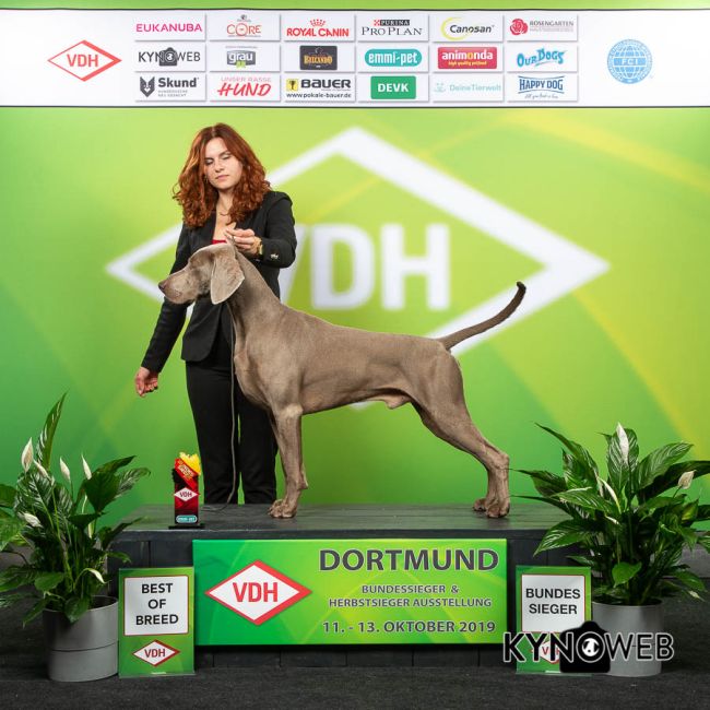 11.10.2019 – International Dog Show CACIB – IDS Dortmund “BUNDESSIEGER” (D)