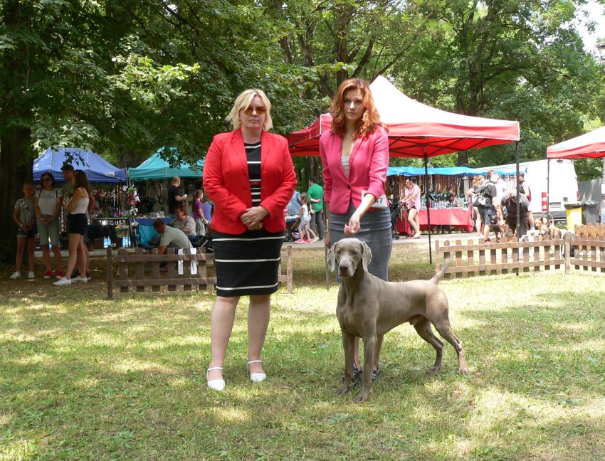 07.07.2019 – International Dog Show CACIB – DOGFESTIVAL Velka Ida (SK)