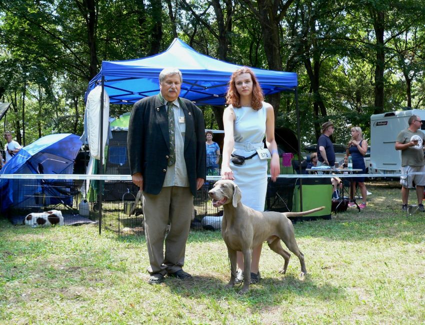 06.07.2019 – International Dog Show CACIB – DOGFESTIVAL Velka Ida (SK)