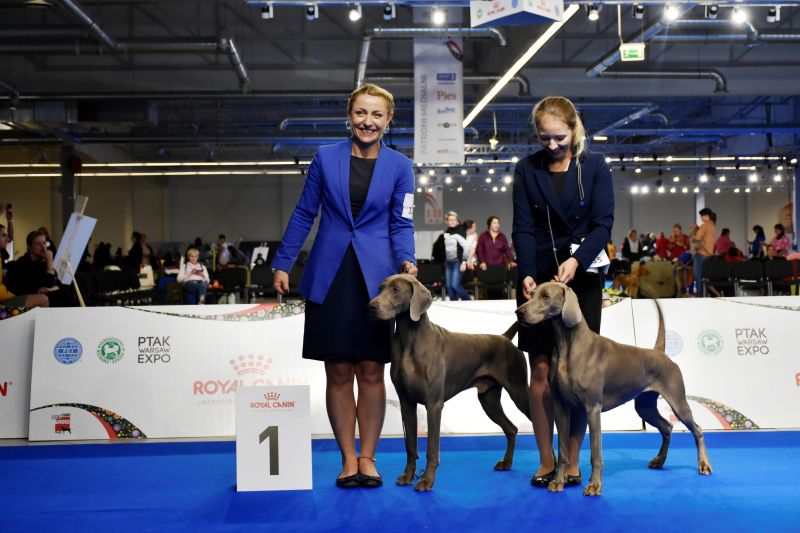 11.10.2018 roku – EURO DOG SHOW – Nadarzyn – Warszawa
