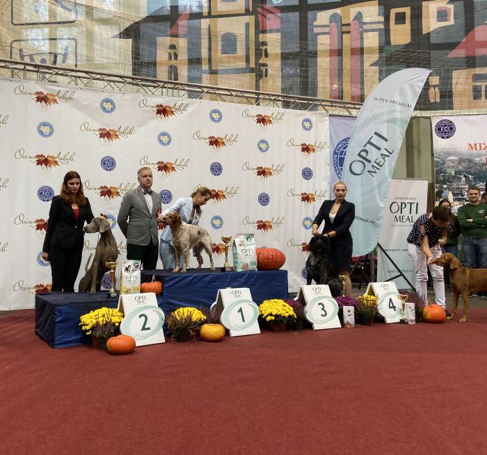 20.10.2019 – Międzynarodowa Wystawa Psów Rasowych CACIB – IDS Lwów (UKR)