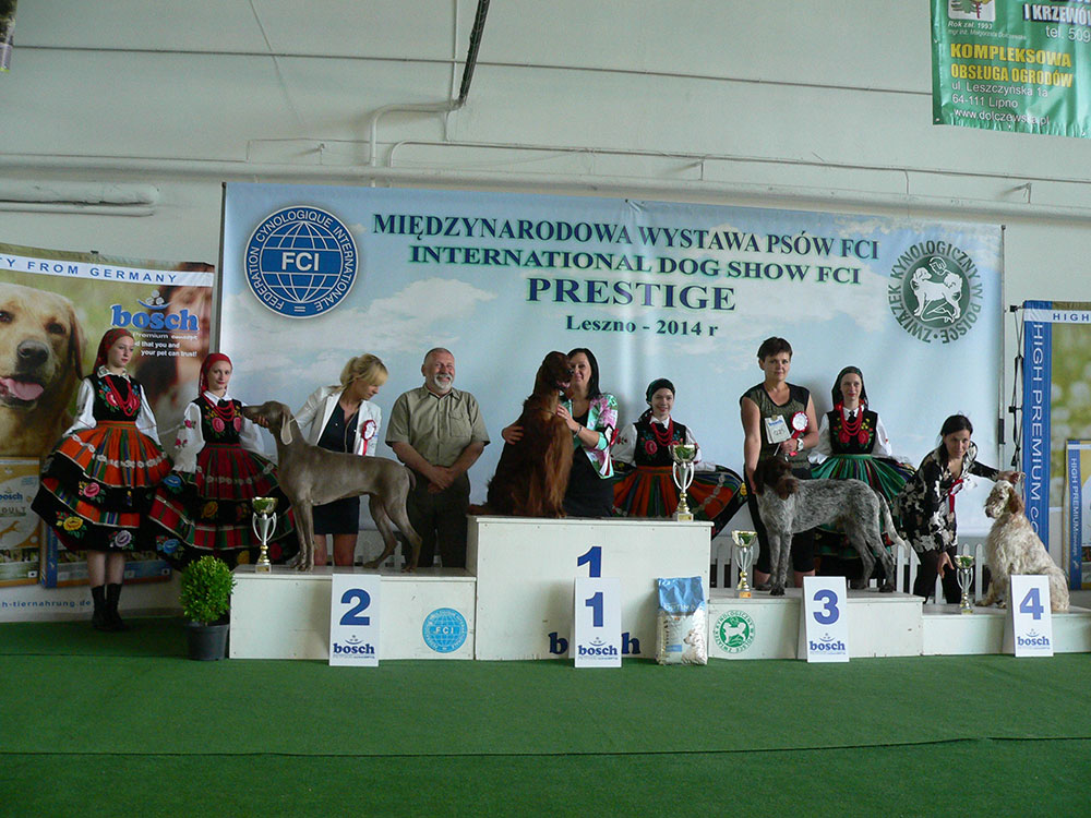 01.06.2014 – International Exhibition CACIB – Leszno PRESTIGE 2014
