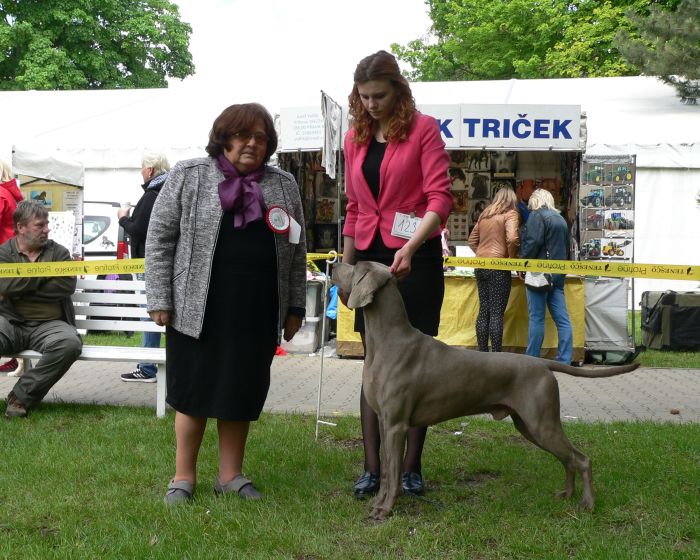18.05.2019 -International Dog Show CACIB – Litomerice (CZ)