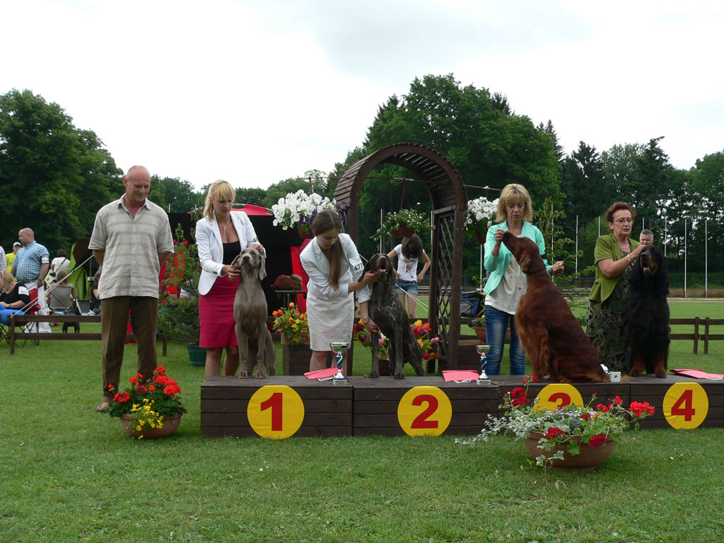 23.06.2013 – National Dog Show, Jelenia Góra