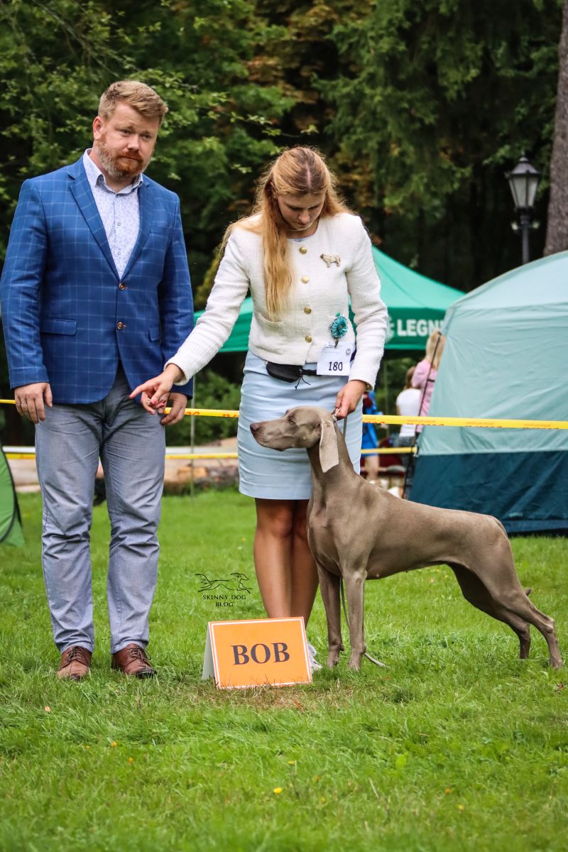 27/08/2023 – National Dog Show 1, 2, 7, 9 and 10. FCI Group – Kliczkow/Legnica